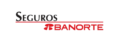 Logos Seguros Solvex-07